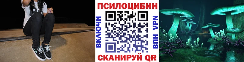 Псилоцибиновые грибы GOLDEN TEACHER  блэк спрут зеркало  Гвардейск 